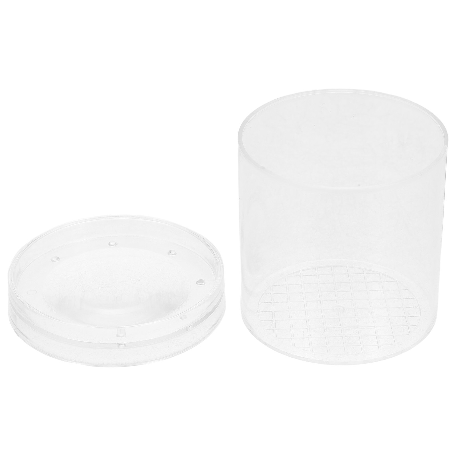 3X Magnifying Insect Observati - Kids Educational Box ulasan dan harga