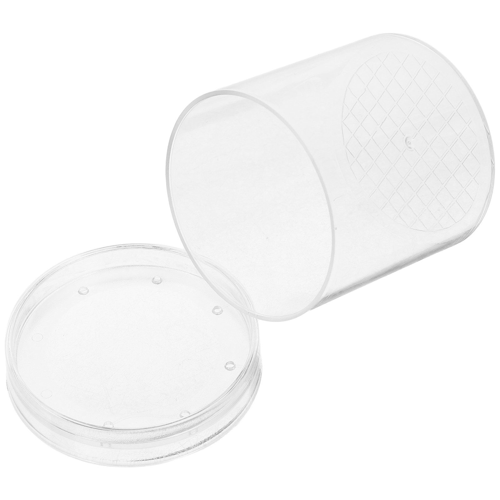 3X Magnifying Insect Observati - Kids Educational Box ulasan dan harga