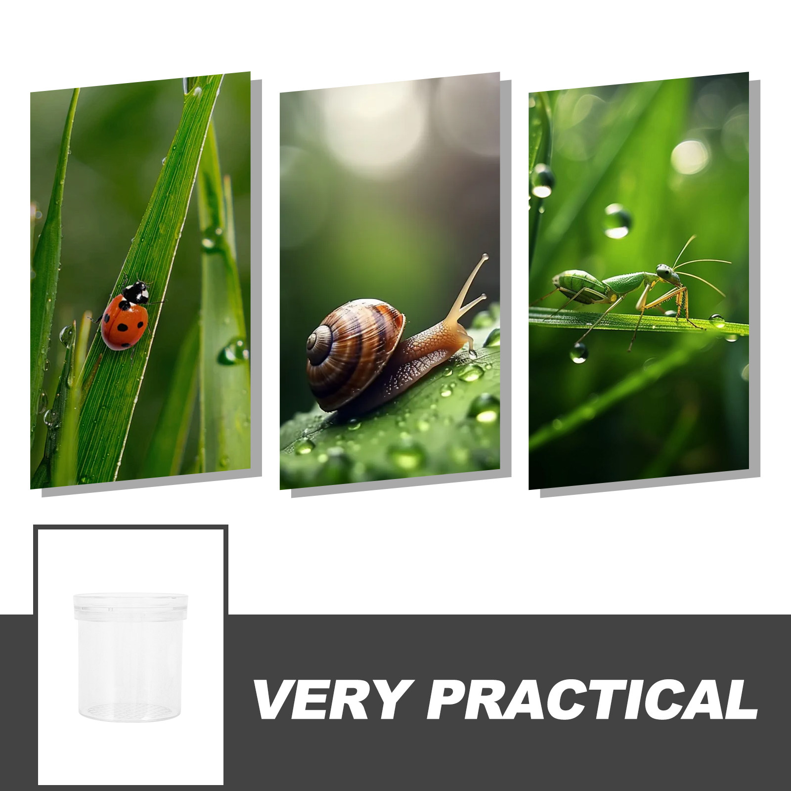 3X Magnifying Insect Observati - Kids Educational Box ulasan dan harga