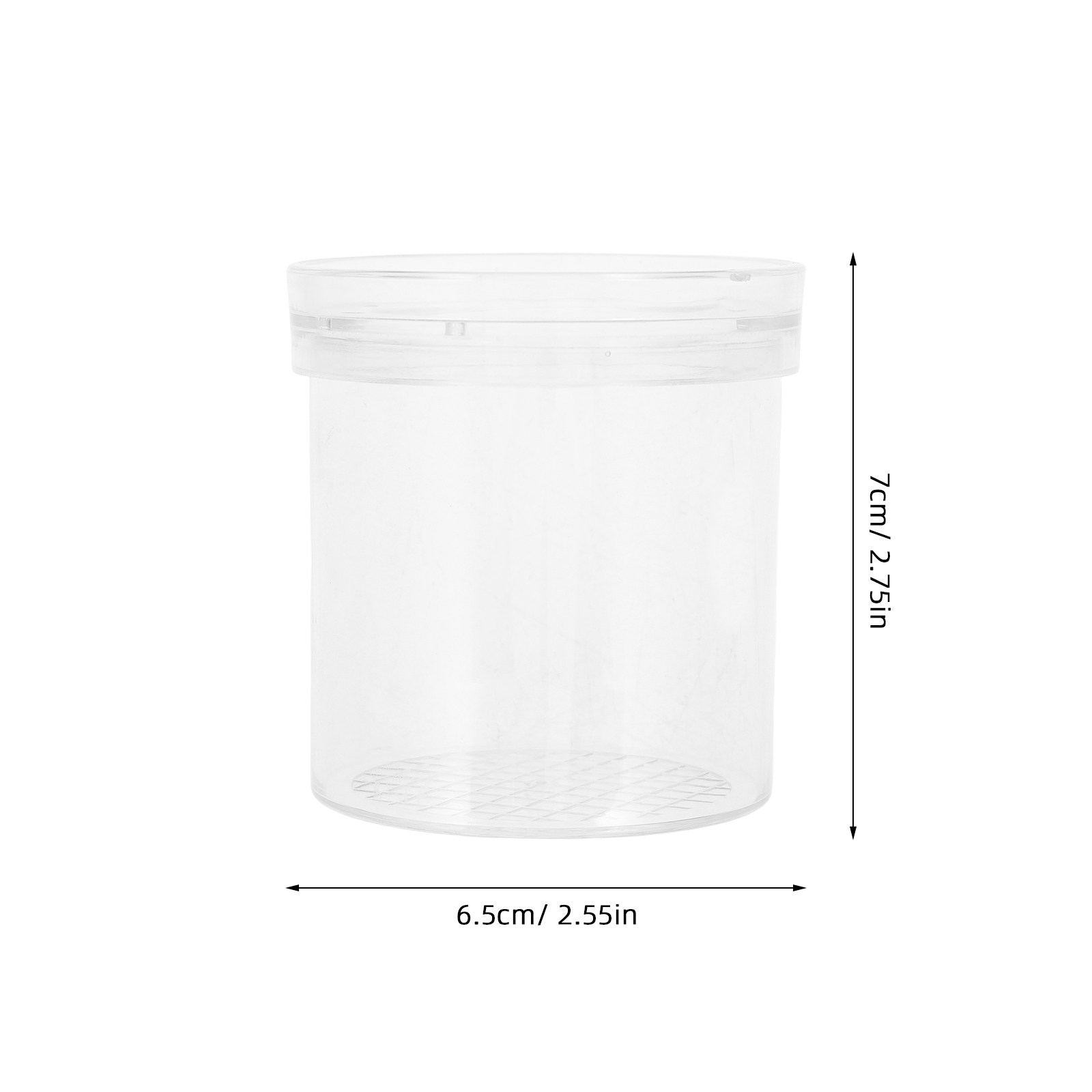 3X Magnifying Insect Observati - Kids Educational Box ulasan dan harga