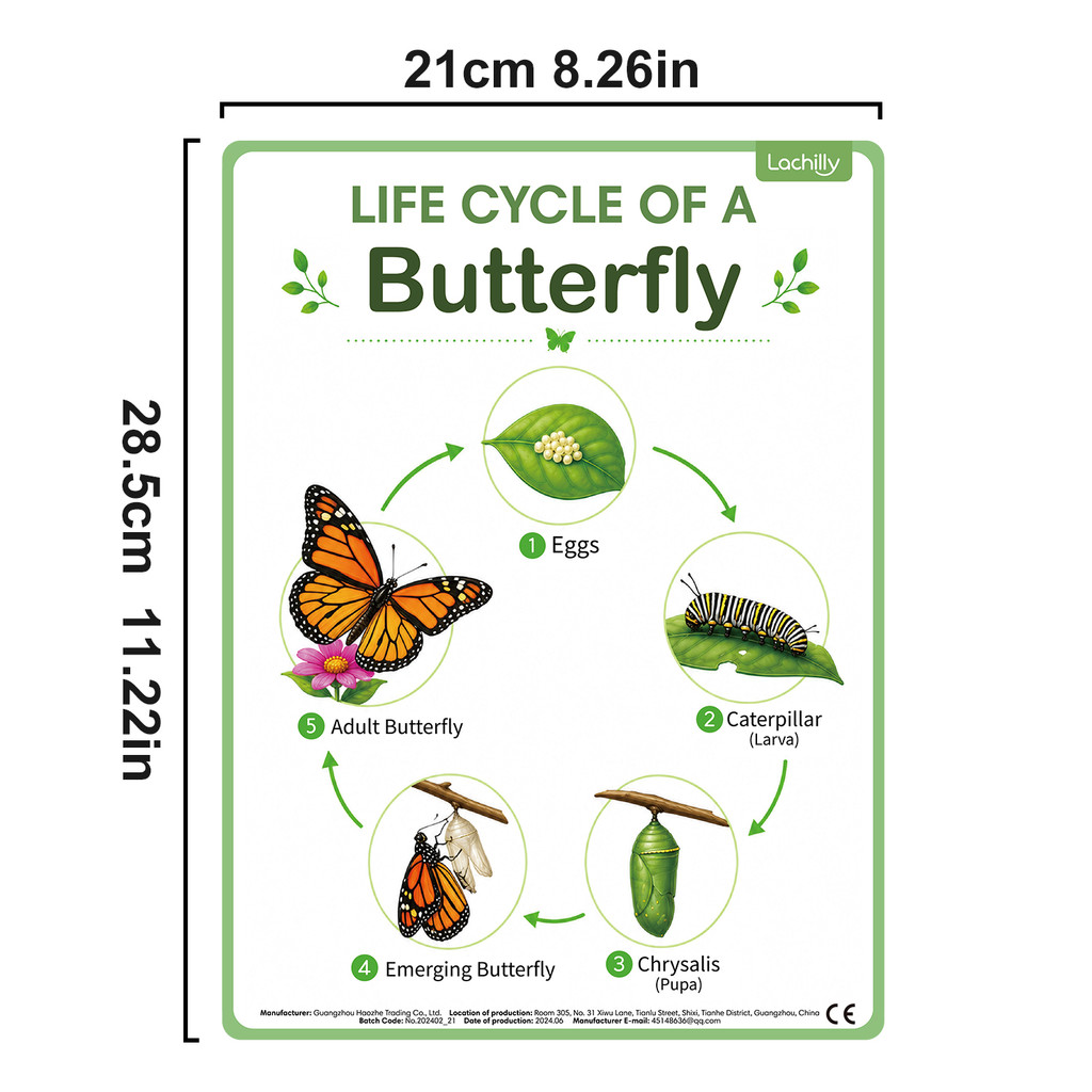 8Pcs Nature Life Cycle Educati - Kids Educational Poster ulasan dan harga