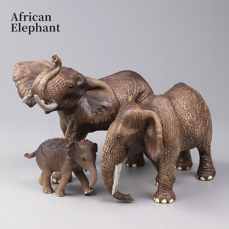 African Wild Animals Big Mammo - Kids Educational Box ulasan dan harga