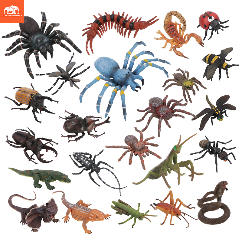 Educational Simulation Insect  - Kids Educational Box ulasan dan harga