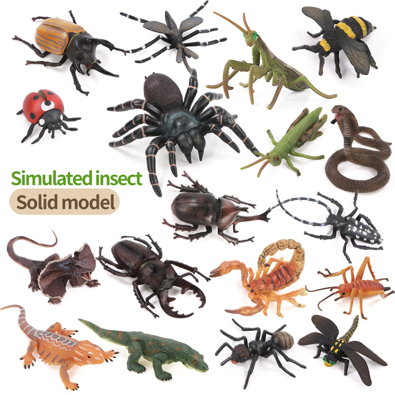 Educational Simulation Insect  - Kids Educational Box ulasan dan harga