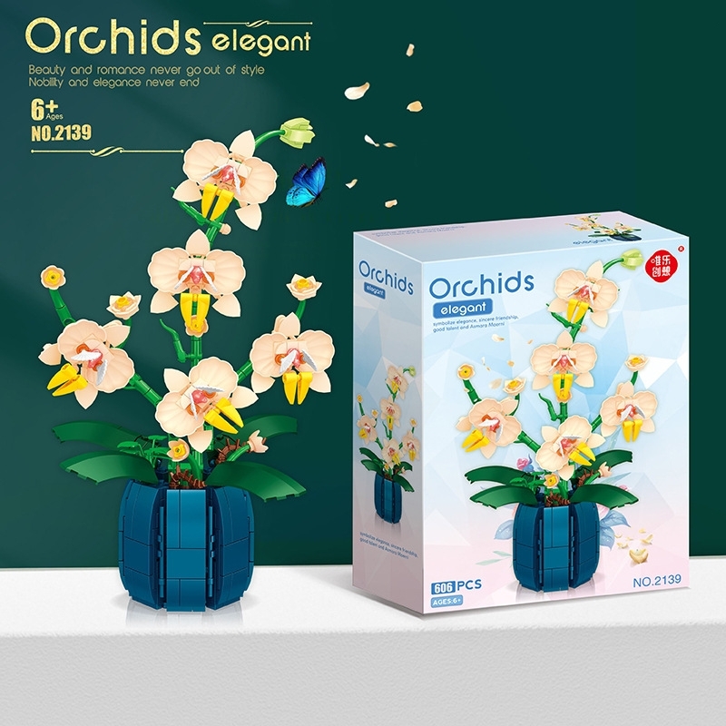 Bouquet Potted Orchid Building - Orchid Kids Education ulasan dan harga