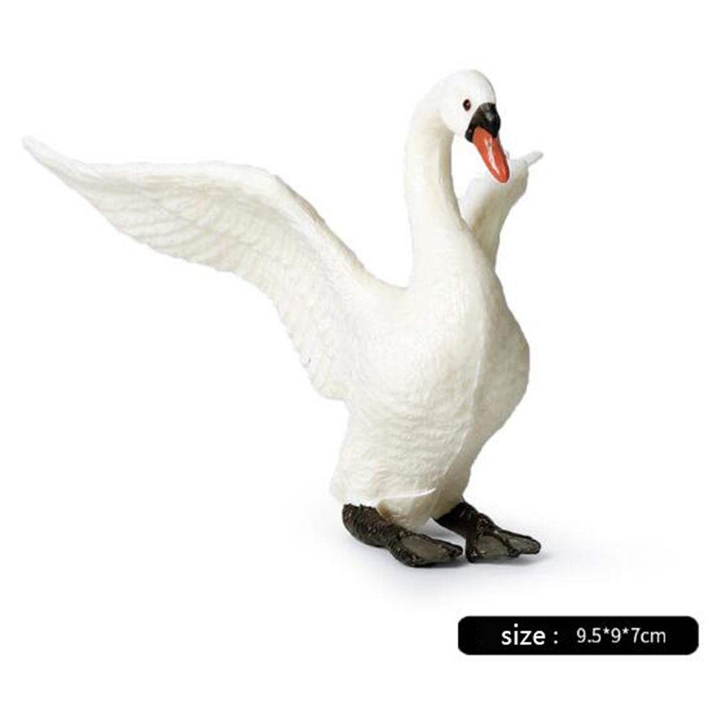 Realistic Swan Figurines Lifel - Kids Education Shows ulasan dan harga